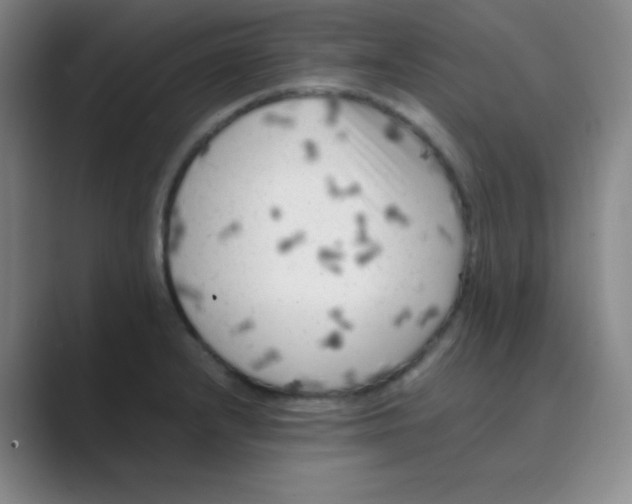 X0000088701232200706282016