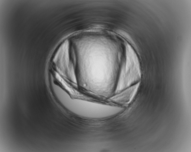 X0000088701235200706282016