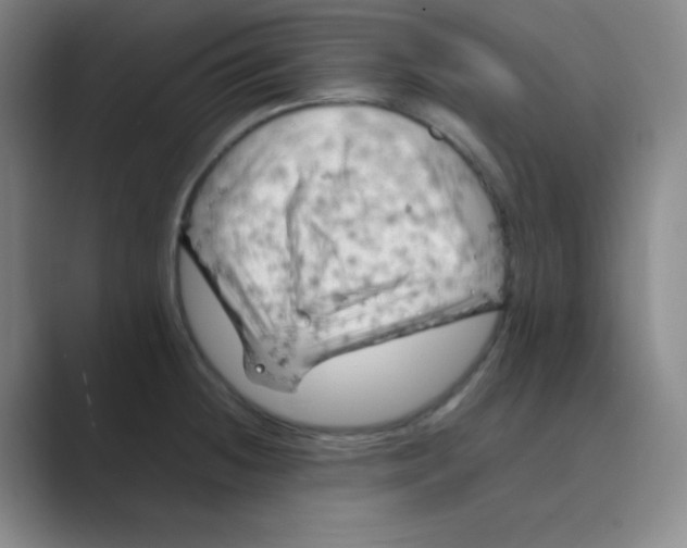 X0000088701236200706282016