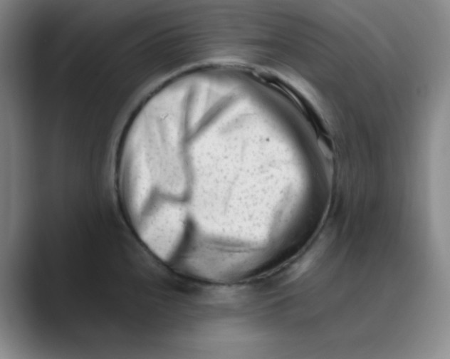 X0000088701240200706282016