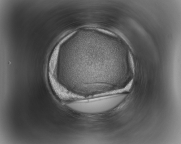 X0000088701245200706282016