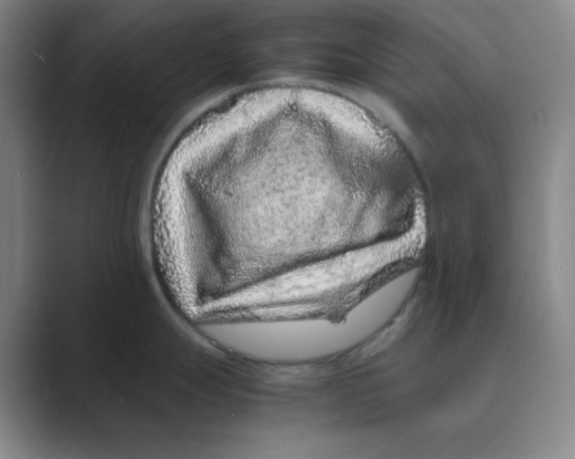 X0000088701247200706282016