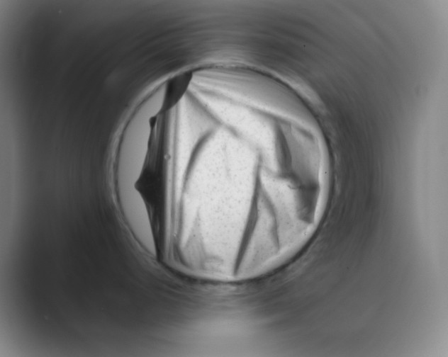 X0000088701248200706282016