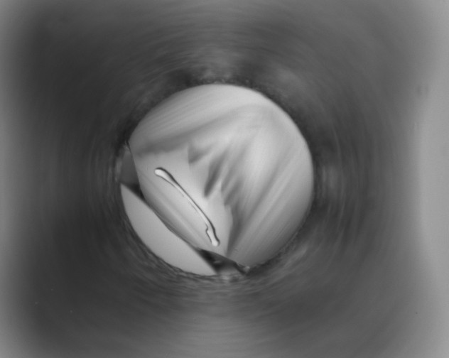 X0000088701250200706282016