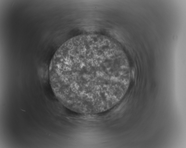 X0000088701251200706282016