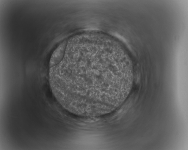 X0000088701255200706282016