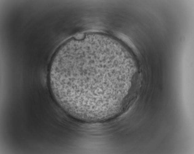 X0000088701260200706282016