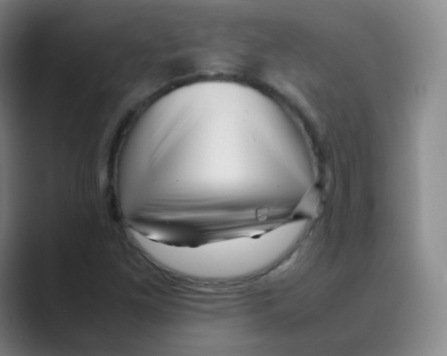 X0000088701261200706282016