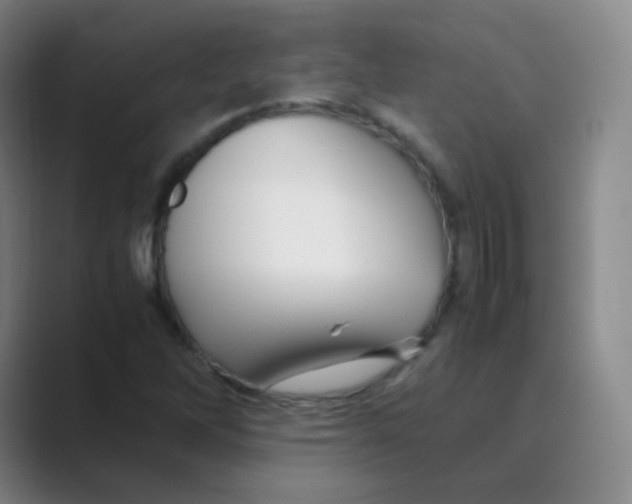 X0000088701262200706282016