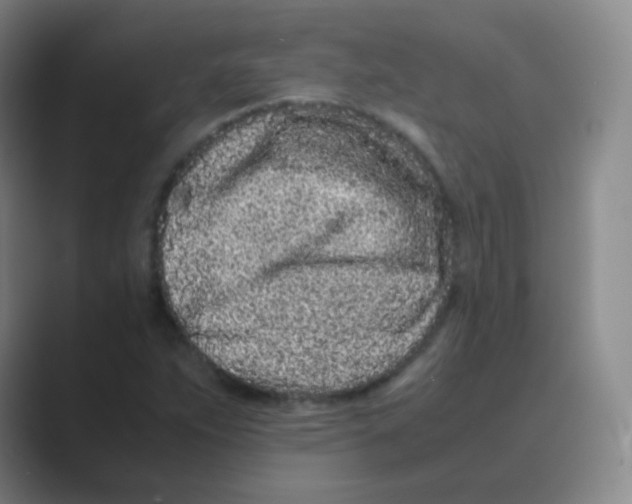 X0000088701263200706282016