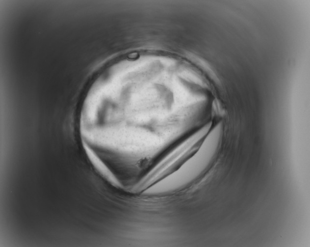 X0000088701264200706282016