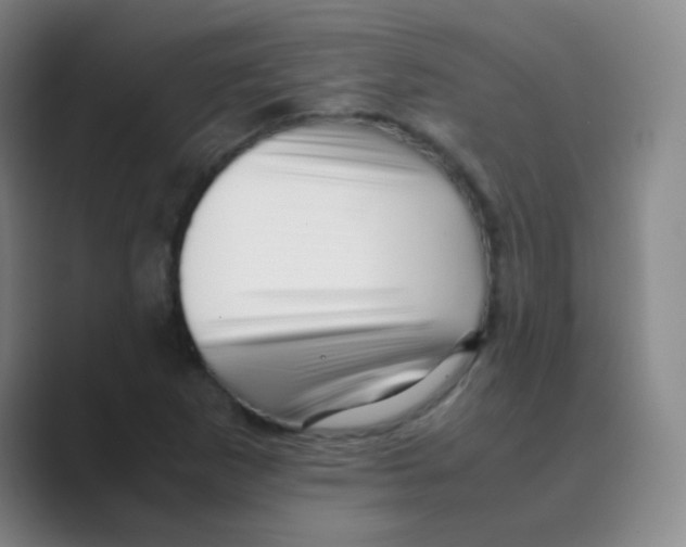 X0000088701265200706282016