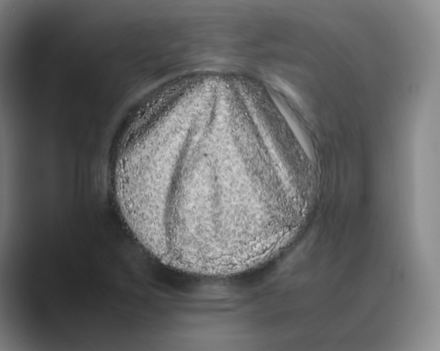 X0000088701267200706282016