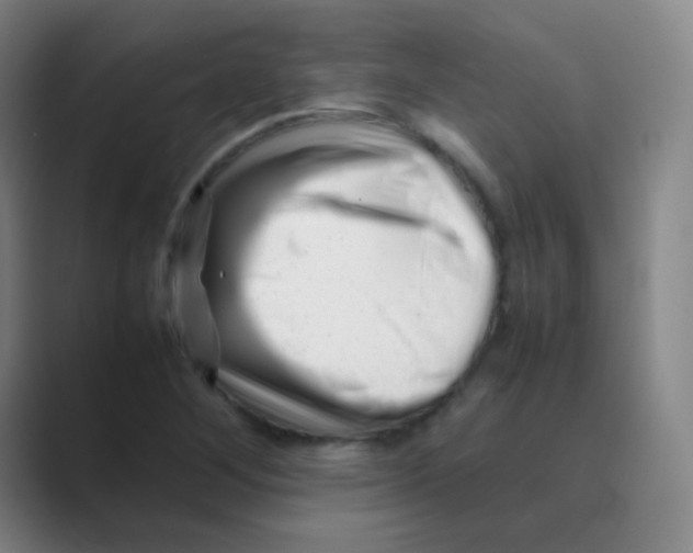 X0000088701268200706282015