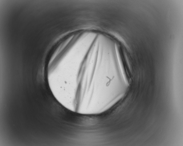 X0000088701270200706282015