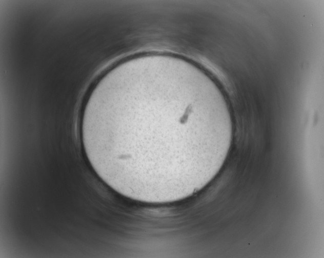 X0000088701272200706282015