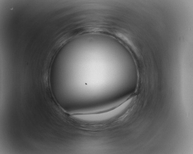 X0000088701273200706282015