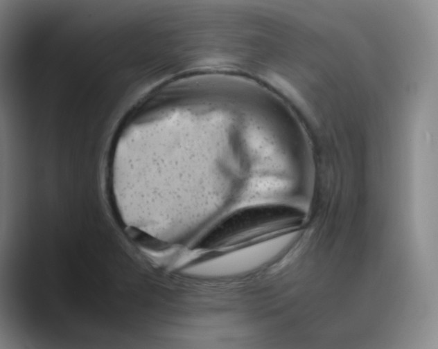 X0000088701277200706282015