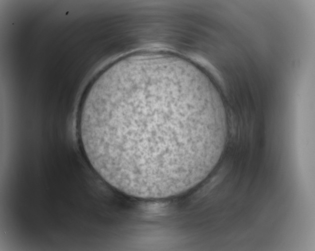 X0000088701278200706282015