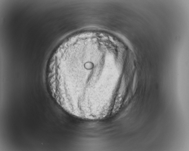 X0000088701279200706282015