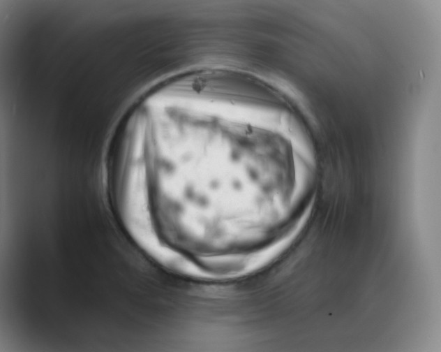 X0000088701280200706282015