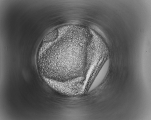 X0000088701283200706282015