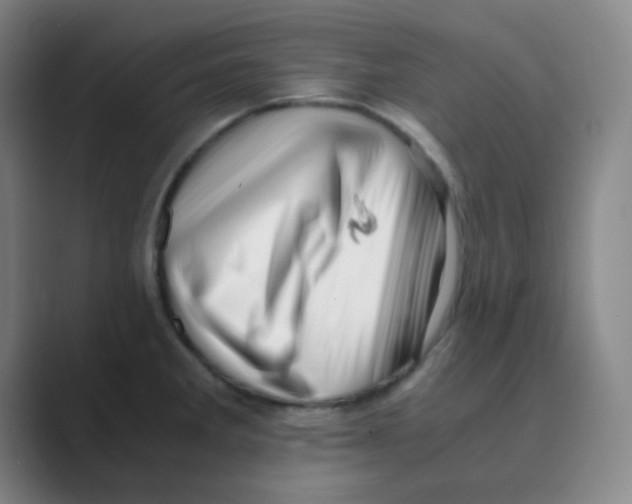 X0000088701285200706282015