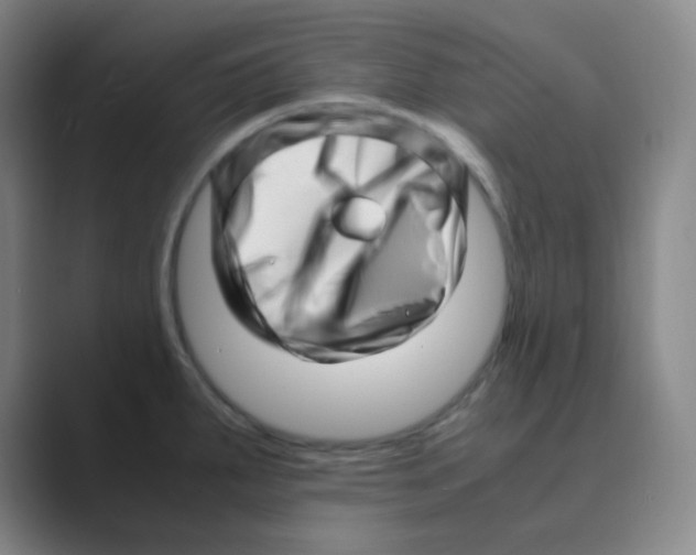 X0000088701287200706282015