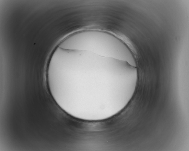 X0000088701288200706282015