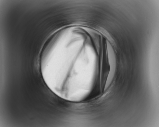 X0000088701292200706282015