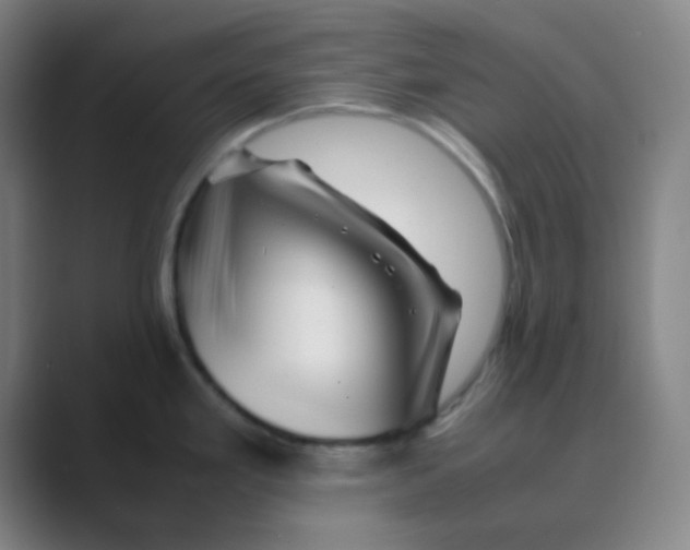 X0000088701293200706282015