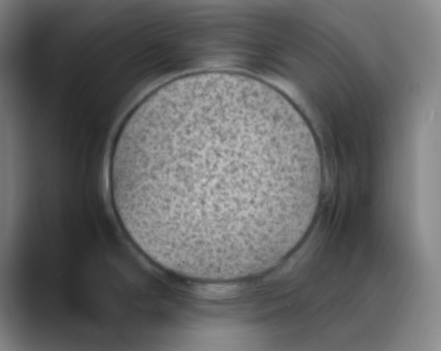 X0000088701294200706282015