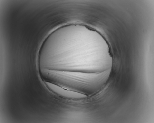 X0000088701295200706282015