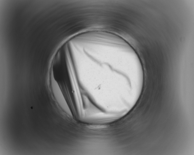 X0000088701296200706282015