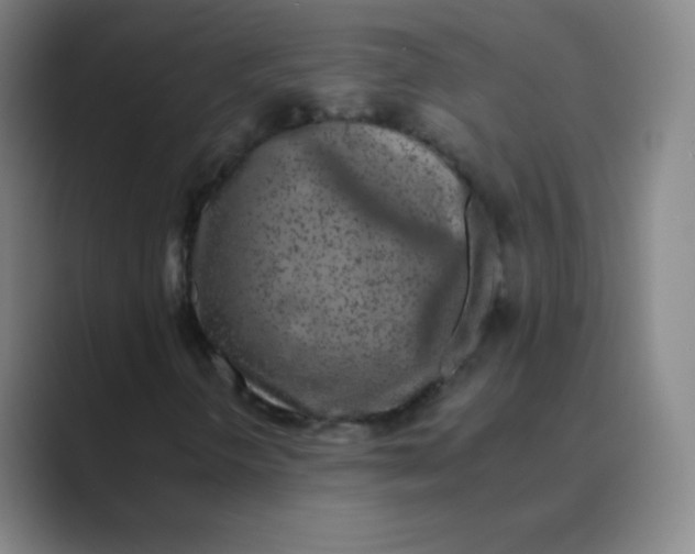 X0000088701298200706282015