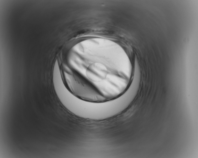 X0000088701300200706282015