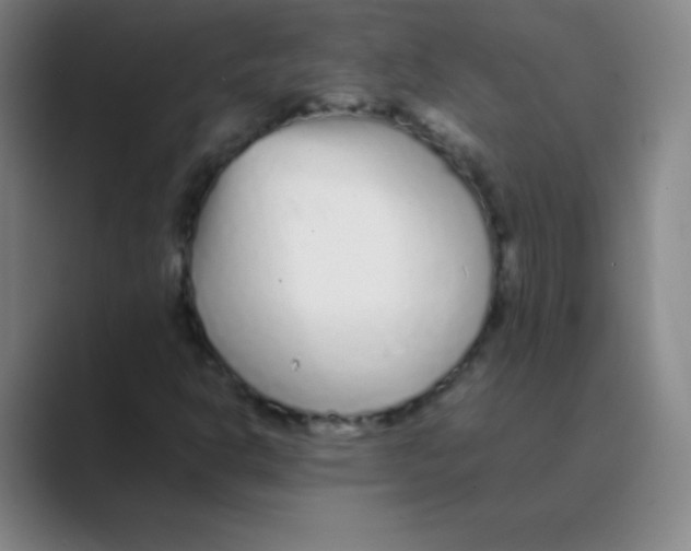 X0000088701302200706282015