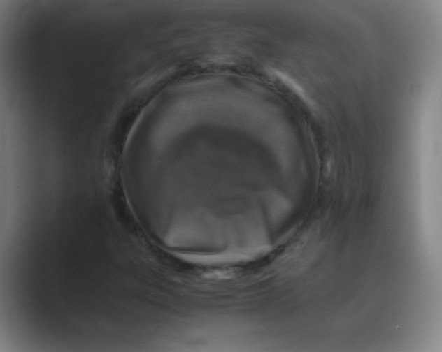 X0000088701303200706282015