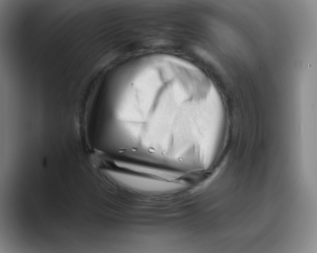 X0000088701305200706282015