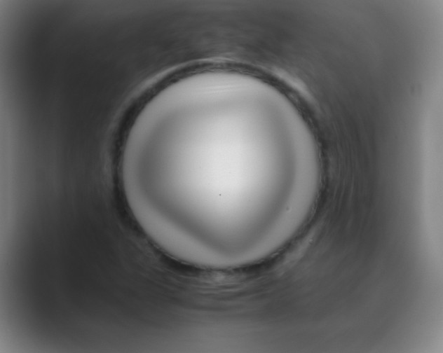 X0000088701311200706282015