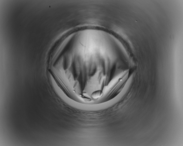 X0000088701312200706282015