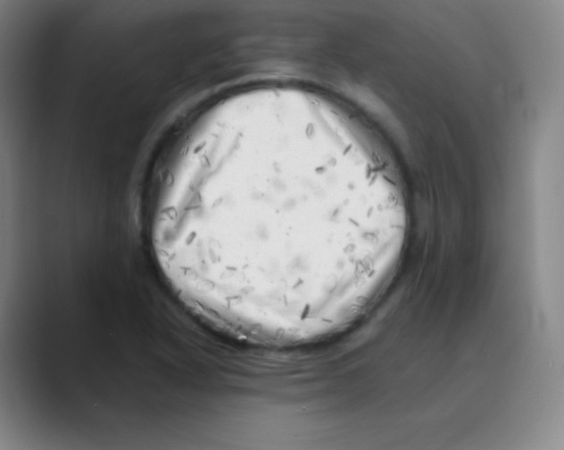 X0000088701318200706282015