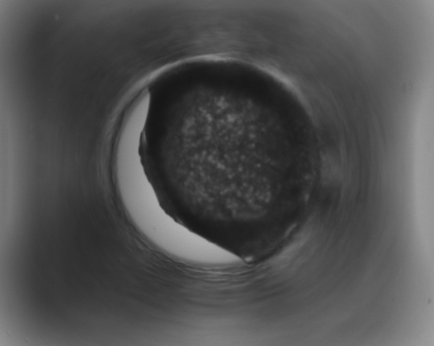 X0000088701319200706282015