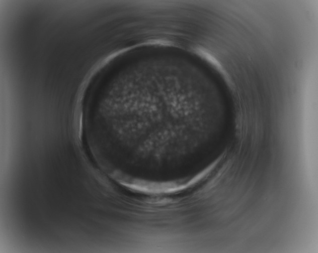 X0000088701323200706282015