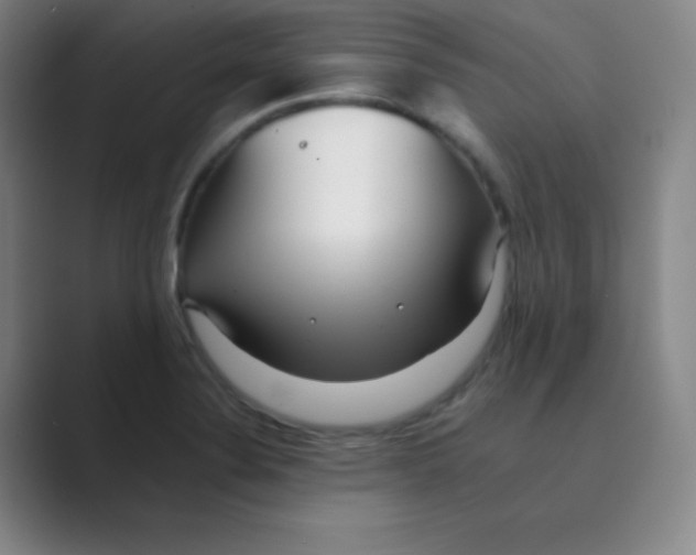 X0000088701324200706282015