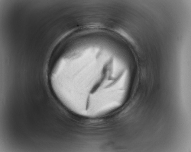 X0000088701325200706282015