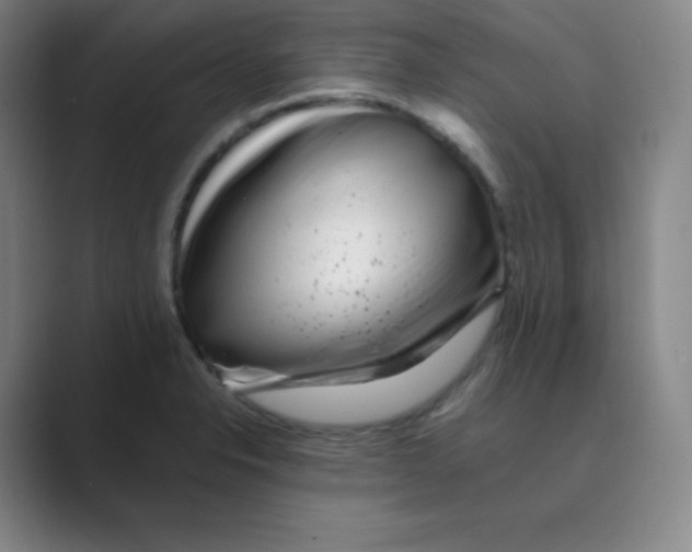 X0000088701326200706282015