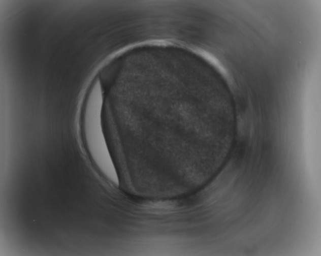 X0000088701327200706282015