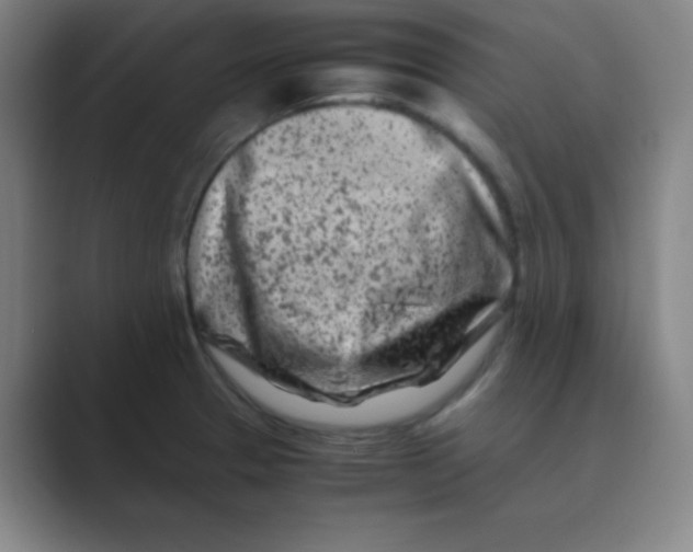 X0000088701329200706282015