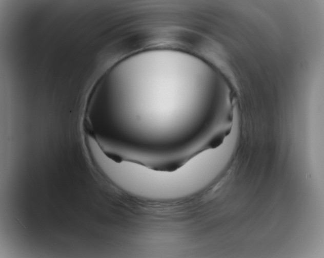 X0000088701330200706282015